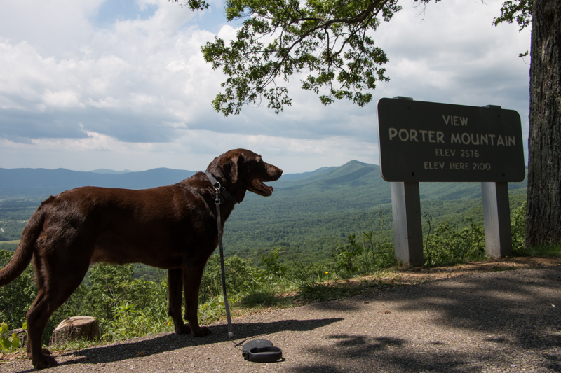 Blue Ridge Parkway - Emma Looking Out. www.usathroughoureyes.com